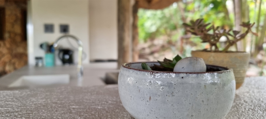 Commercial Property for Sale in Ndlovumzi Limpopo