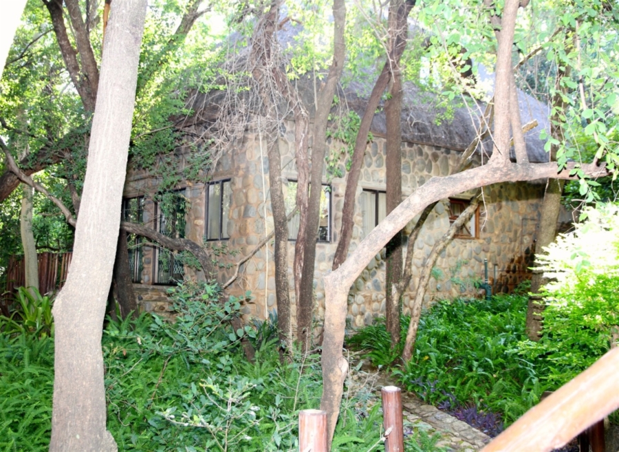 Commercial Property for Sale in Ndlovumzi Limpopo