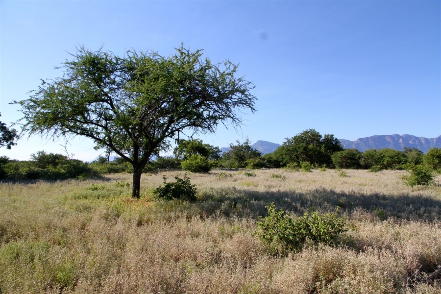 Commercial Property for Sale in Ndlovumzi Limpopo