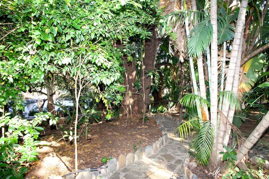 Commercial Property for Sale in Ndlovumzi Limpopo