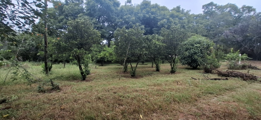 3 Bedroom Property for Sale in Bela Bela Limpopo