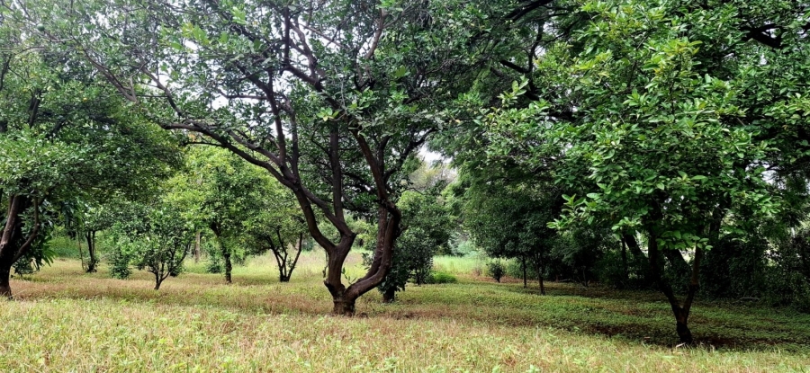 3 Bedroom Property for Sale in Bela Bela Limpopo