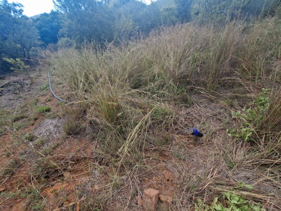 0 Bedroom Property for Sale in Zwartkloof Private Game Reserve Limpopo