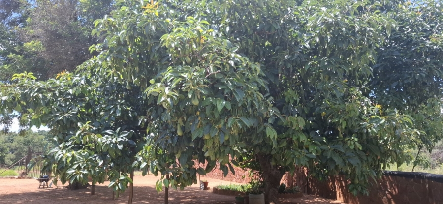 7 Bedroom Property for Sale in Bela Bela Limpopo