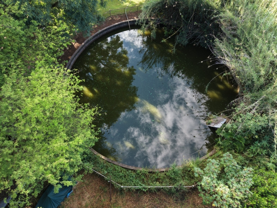 7 Bedroom Property for Sale in Bela Bela Limpopo