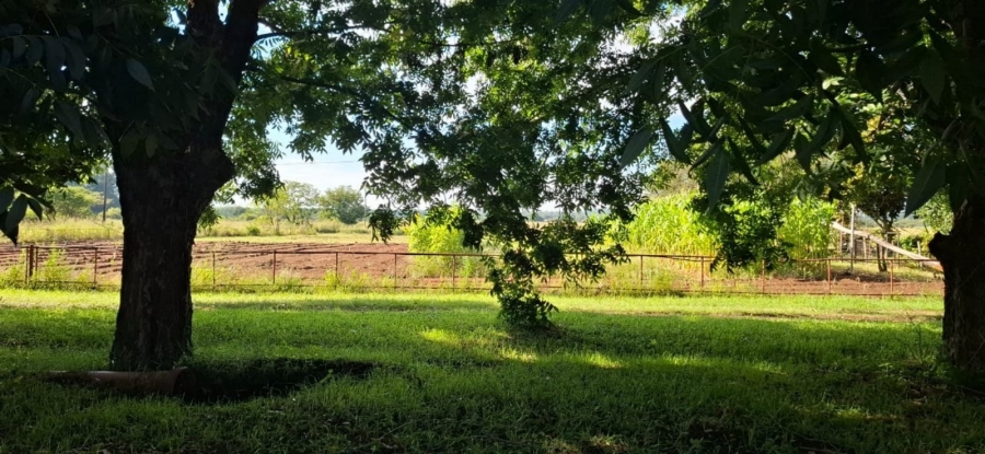 7 Bedroom Property for Sale in Bela Bela Limpopo