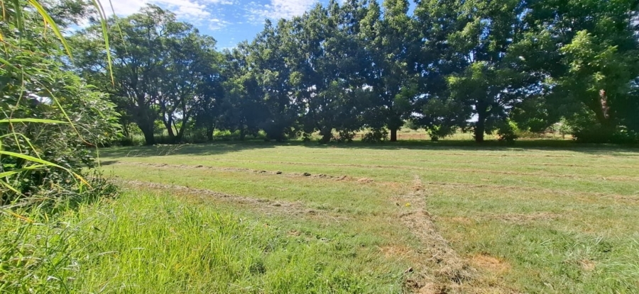 7 Bedroom Property for Sale in Bela Bela Limpopo