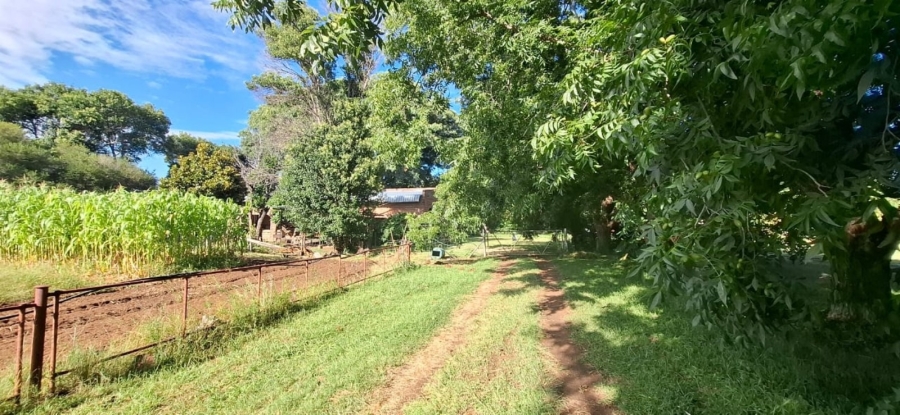 7 Bedroom Property for Sale in Bela Bela Limpopo