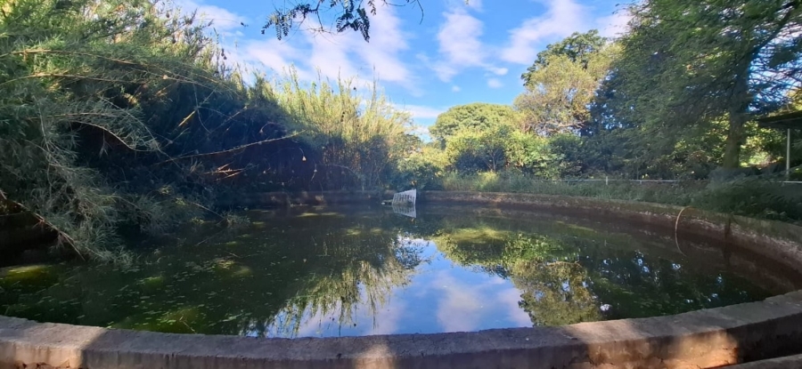 7 Bedroom Property for Sale in Bela Bela Limpopo