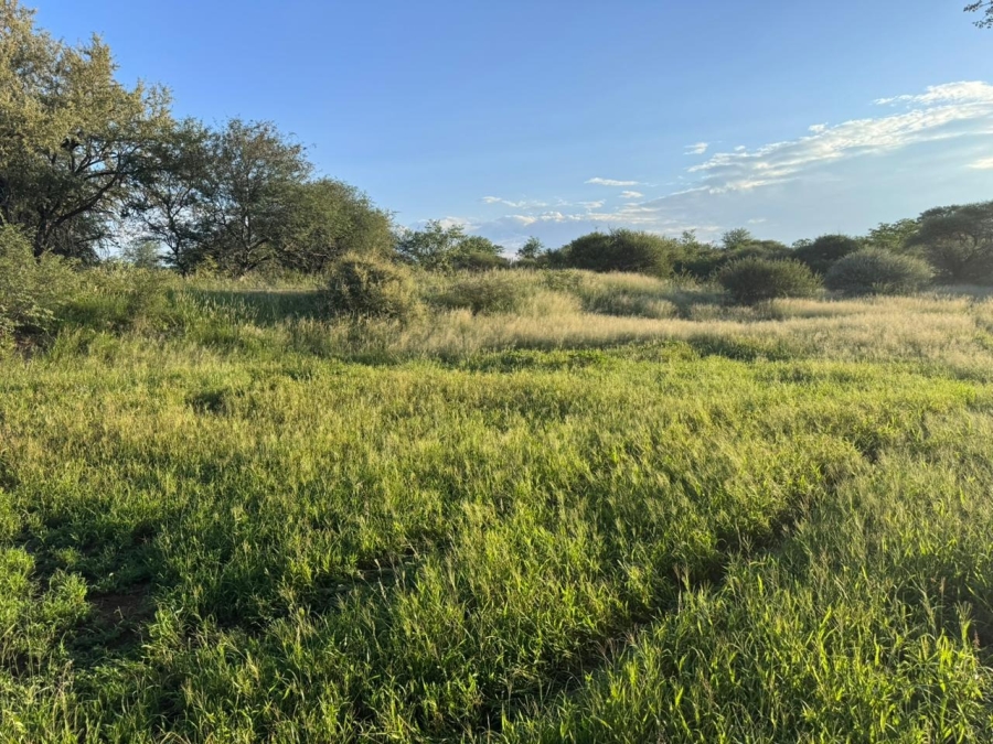 3 Bedroom Property for Sale in Musina Limpopo