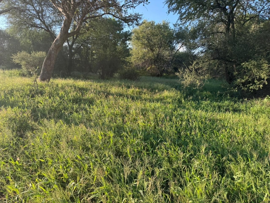 3 Bedroom Property for Sale in Musina Limpopo