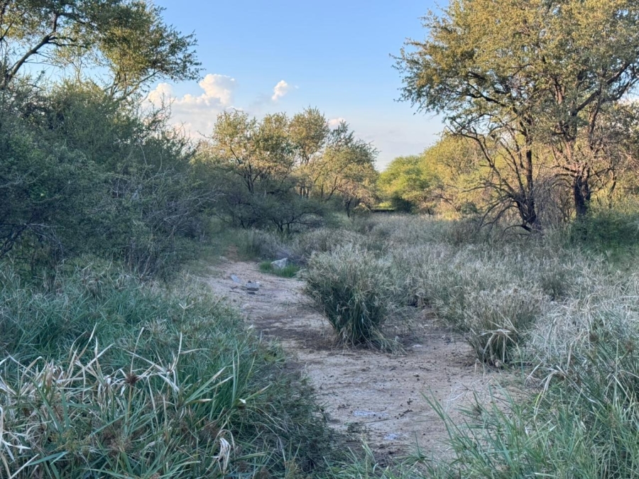 3 Bedroom Property for Sale in Musina Limpopo