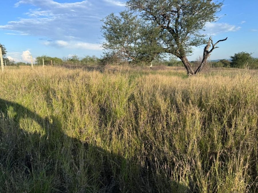 3 Bedroom Property for Sale in Musina Limpopo