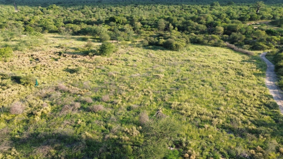 3 Bedroom Property for Sale in Musina Limpopo