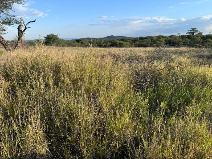 3 Bedroom Property for Sale in Musina Limpopo