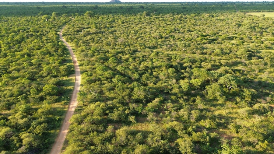 3 Bedroom Property for Sale in Musina Limpopo