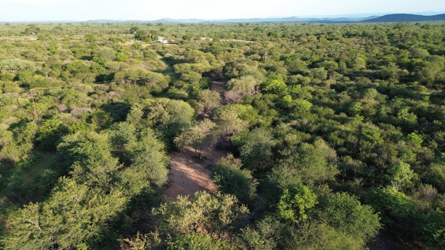 3 Bedroom Property for Sale in Musina Limpopo