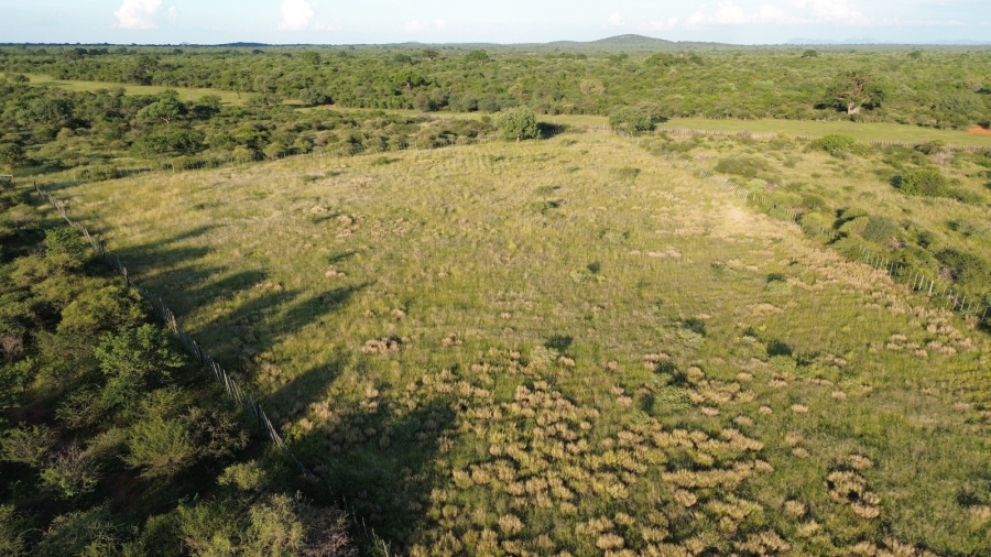 3 Bedroom Property for Sale in Musina Limpopo