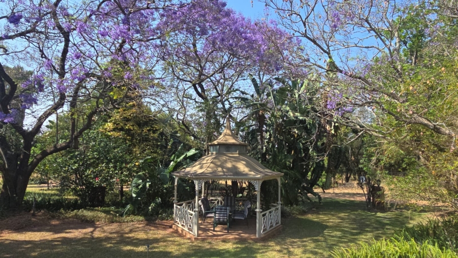 20 Bedroom Property for Sale in Bela Bela Limpopo