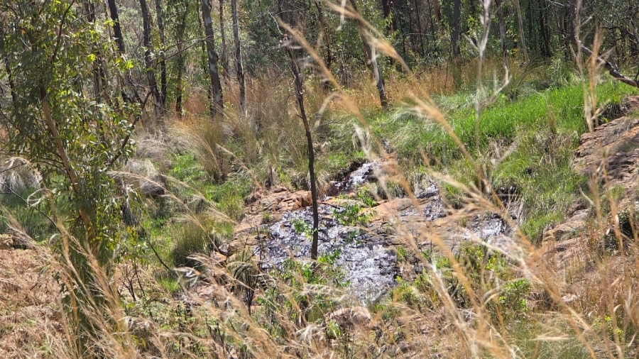 20 Bedroom Property for Sale in Bela Bela Limpopo