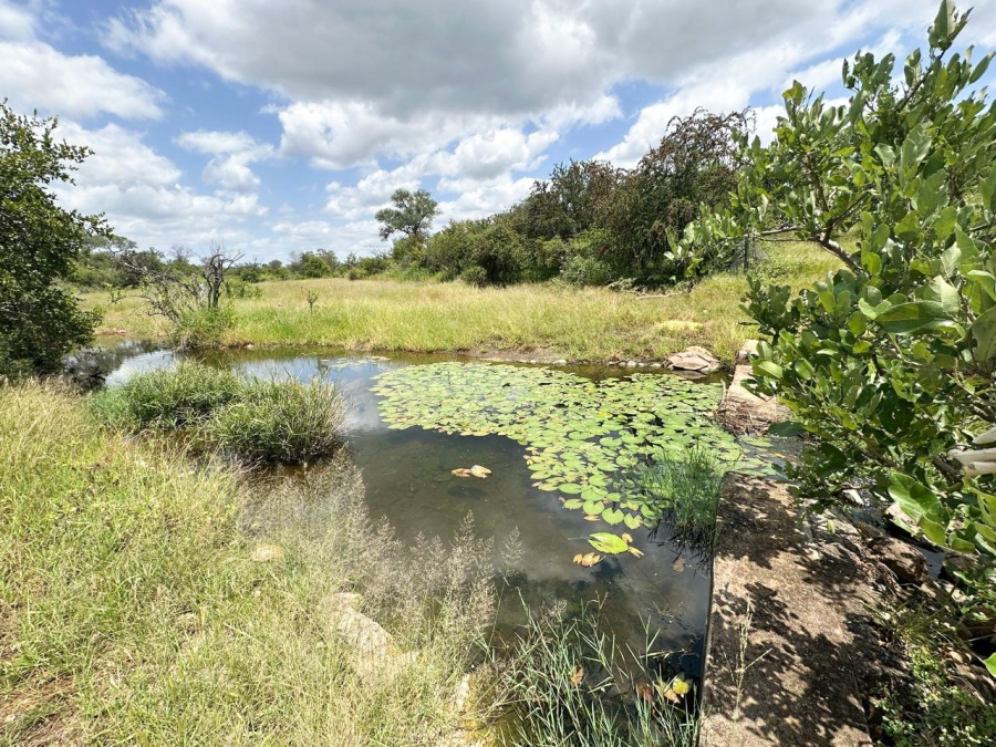 6 Bedroom Property for Sale in Grietjie Private Nature Reserve Limpopo