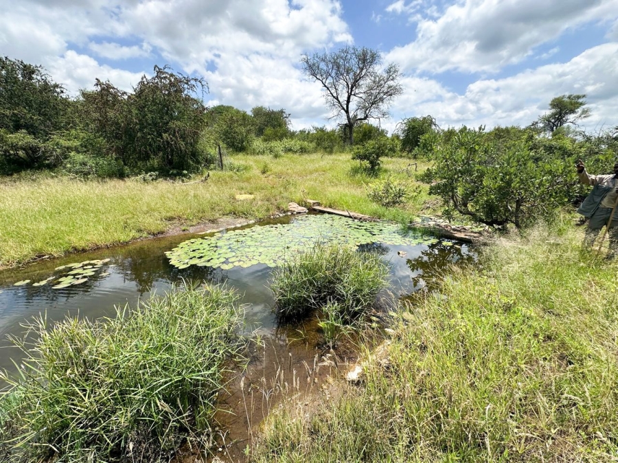 6 Bedroom Property for Sale in Grietjie Private Nature Reserve Limpopo