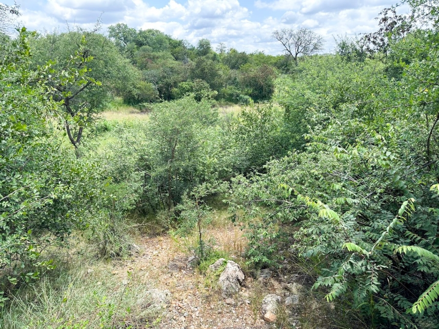 6 Bedroom Property for Sale in Grietjie Private Nature Reserve Limpopo