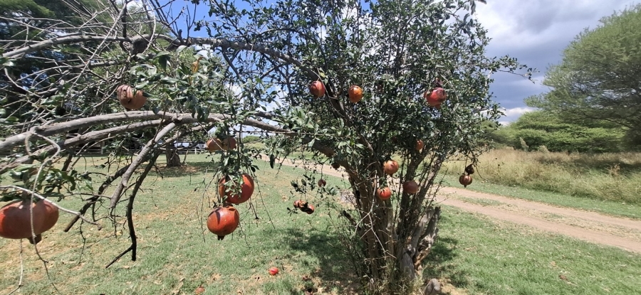 6 Bedroom Property for Sale in Bela Bela Limpopo