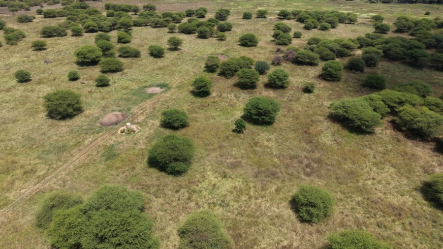 6 Bedroom Property for Sale in Bela Bela Limpopo