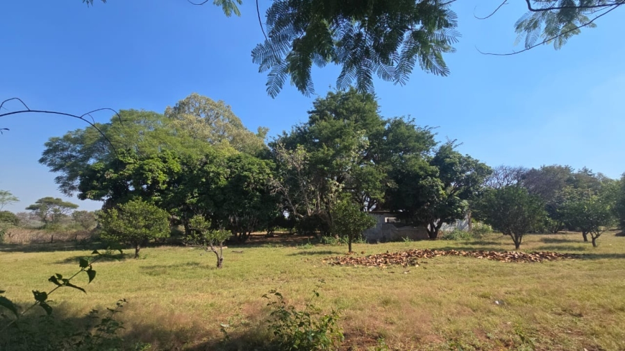 3 Bedroom Property for Sale in Bela Bela Limpopo