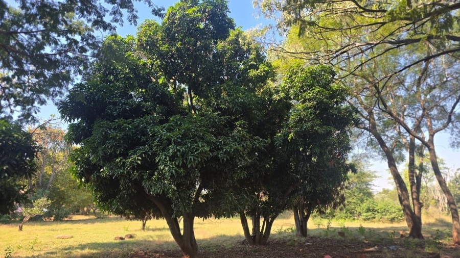 3 Bedroom Property for Sale in Bela Bela Limpopo