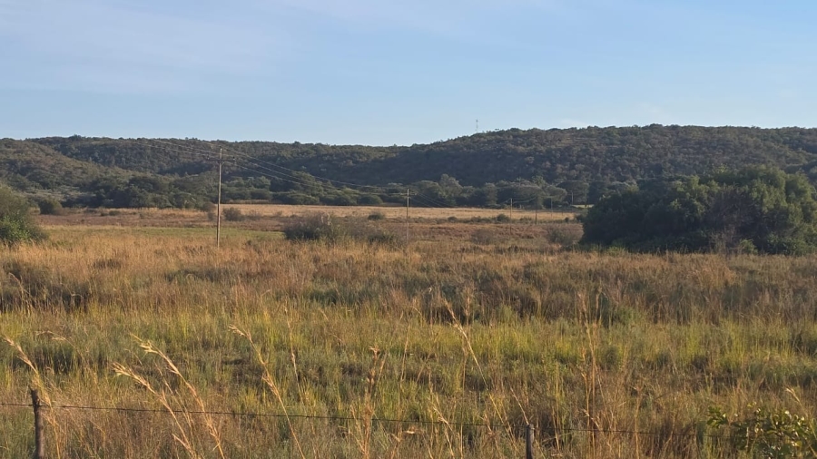 3 Bedroom Property for Sale in Bela Bela Limpopo