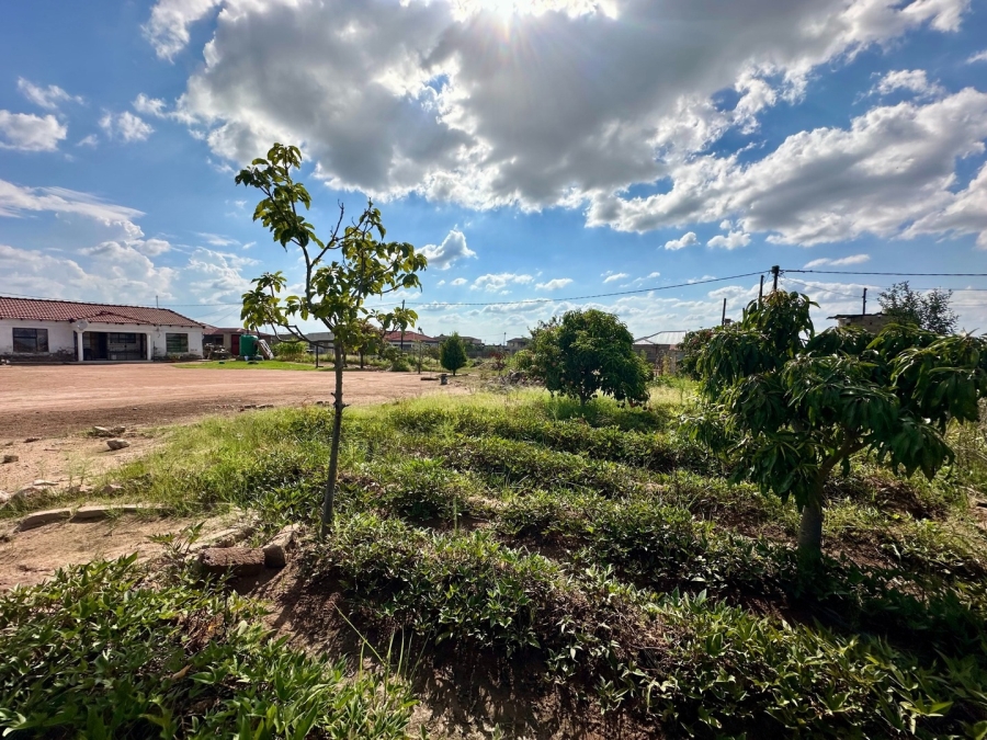 2 Bedroom Property for Sale in Mankweng Limpopo