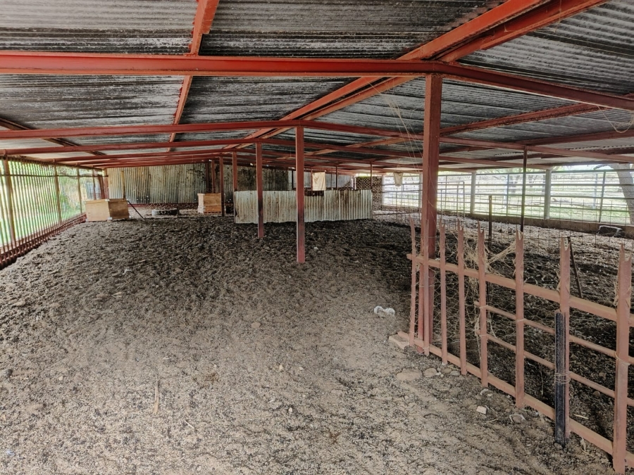 3 Bedroom Property for Sale in Bela Bela Limpopo