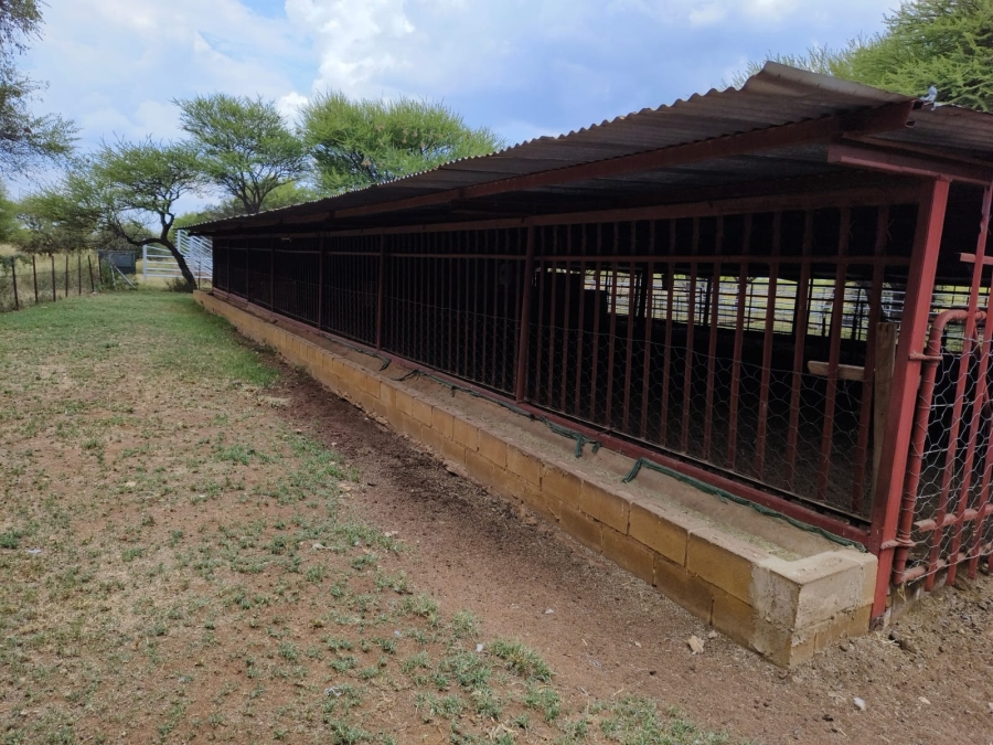 3 Bedroom Property for Sale in Bela Bela Limpopo