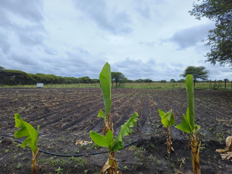 4 Bedroom Property for Sale in Bela Bela Limpopo