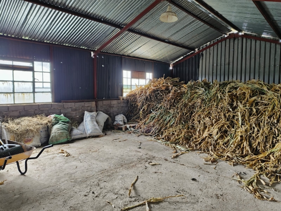 4 Bedroom Property for Sale in Bela Bela Limpopo