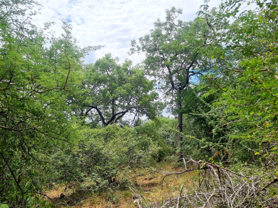 0 Bedroom Property for Sale in Elephant Rock Eco Estate Limpopo