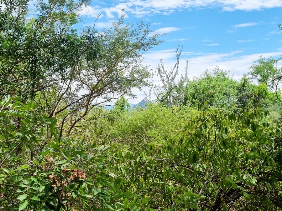 0 Bedroom Property for Sale in Elephant Rock Eco Estate Limpopo