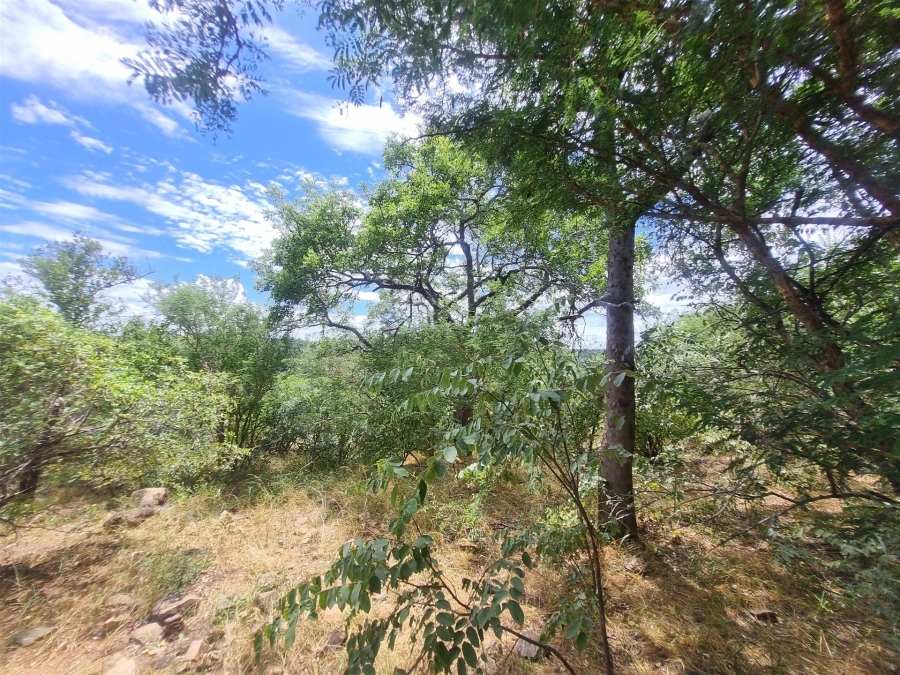 0 Bedroom Property for Sale in Elephant Rock Eco Estate Limpopo