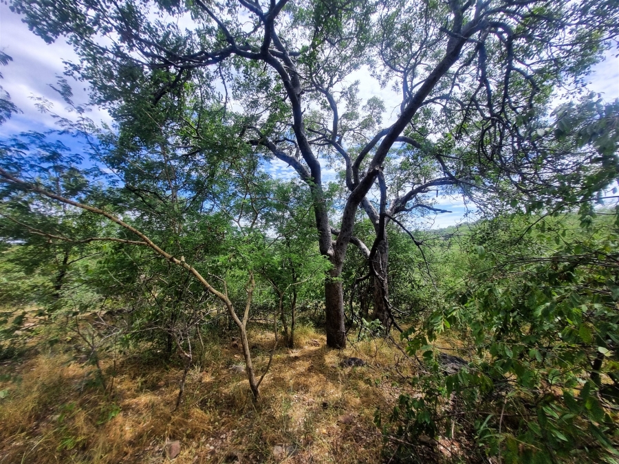 0 Bedroom Property for Sale in Elephant Rock Eco Estate Limpopo