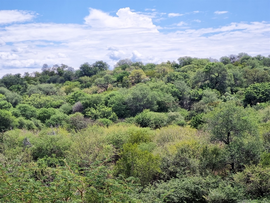 0 Bedroom Property for Sale in Elephant Rock Eco Estate Limpopo