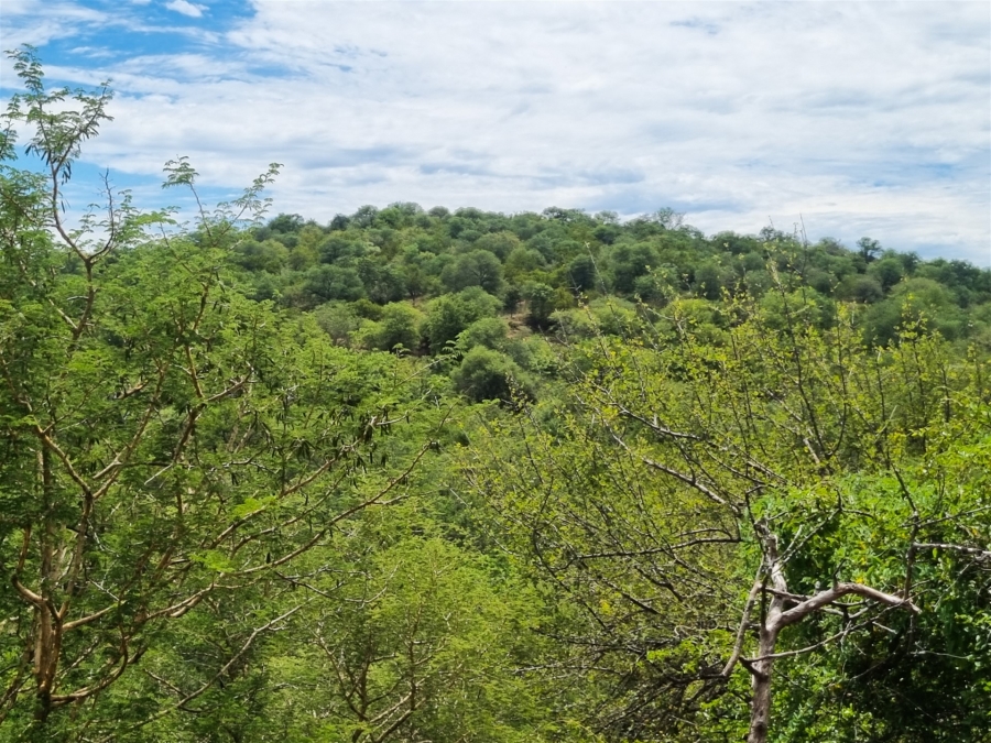 0 Bedroom Property for Sale in Elephant Rock Eco Estate Limpopo