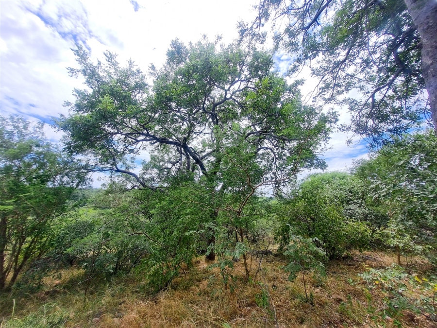 0 Bedroom Property for Sale in Elephant Rock Eco Estate Limpopo