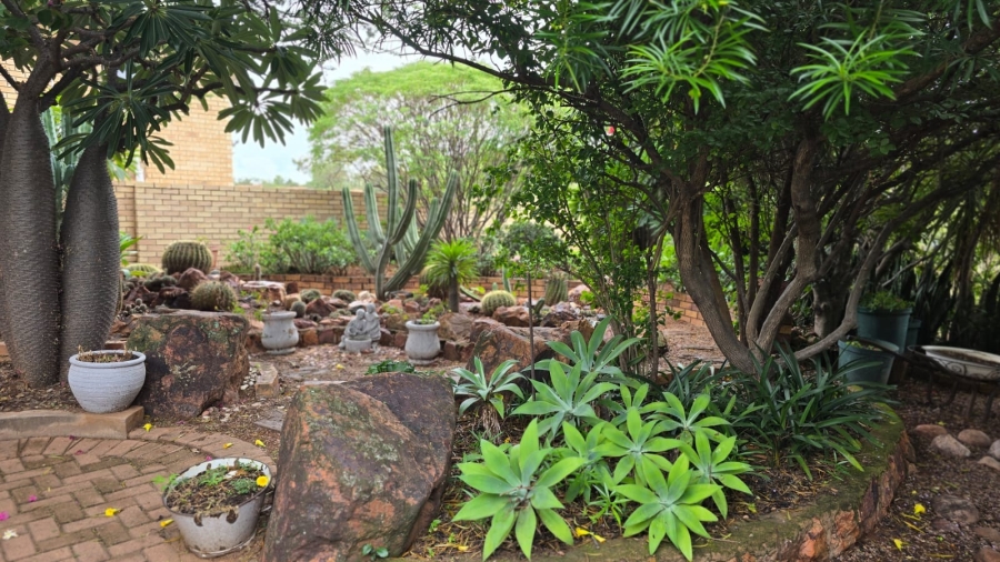 3 Bedroom Property for Sale in Bela Bela Limpopo