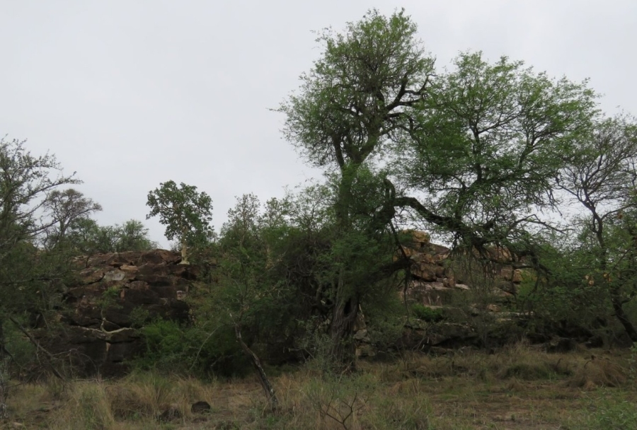 Commercial Property for Sale in Musina Limpopo