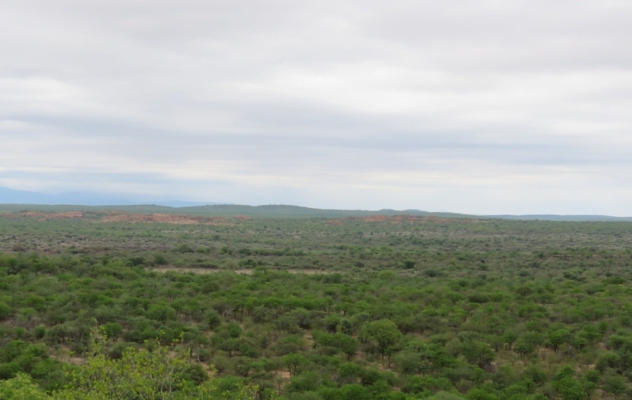 Commercial Property for Sale in Musina Limpopo