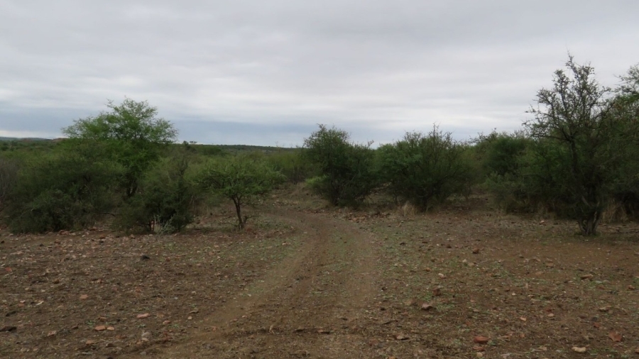 Commercial Property for Sale in Musina Limpopo