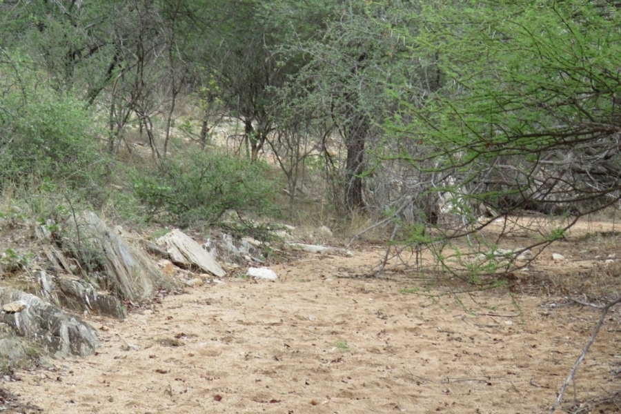 Commercial Property for Sale in Musina Limpopo