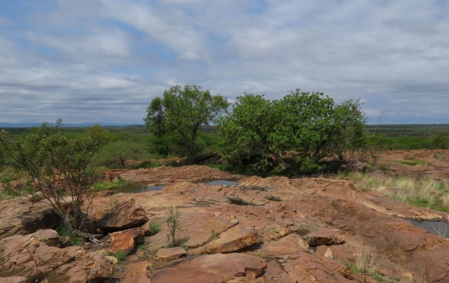 Commercial Property for Sale in Musina Limpopo